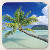 コースターセット – トロピックス コースター (正面)