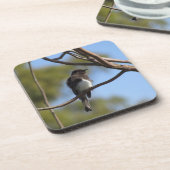 コースターセット – フライキャッチャー コースター (左側)