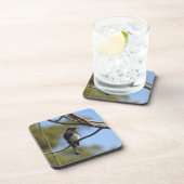 コースターセット – フライキャッチャー コースター (右側)