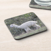 コースターセット – ホワイトアルパカ コースター (左側)