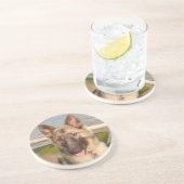 コースタードイツの羊飼い コースター (側面)