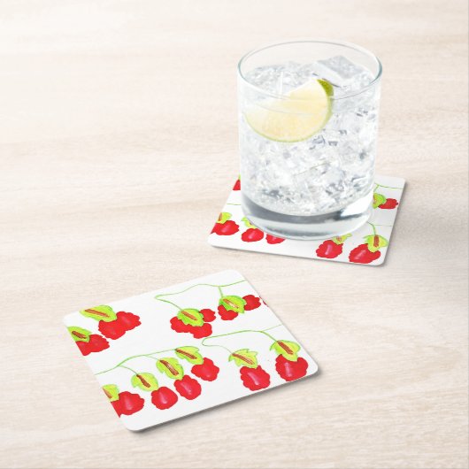 コースター (インサイチュ)