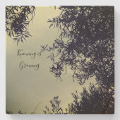 コースター (正面)