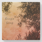 コースター (正面)