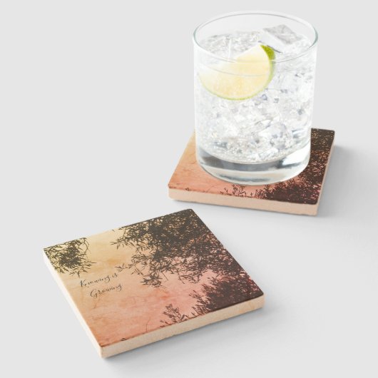 コースター (横)