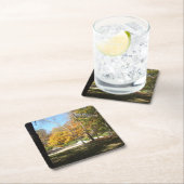 コースター (インサイチュ)