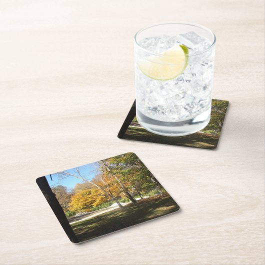 コースター (インサイチュ)