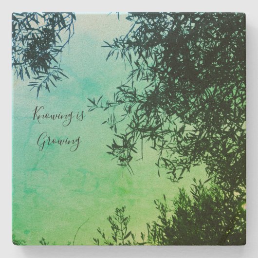 コースター (正面)