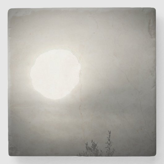 コースター (正面)