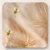 コースター (正面)