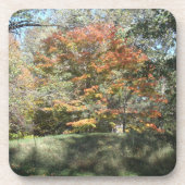 コースター (正面)