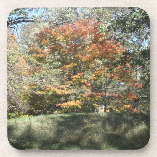 コースター (正面)