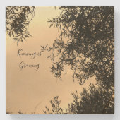 コースター (正面)