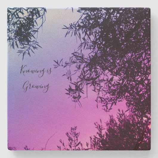 コースター (正面)