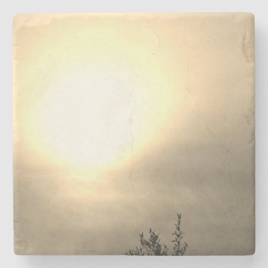 コースター (正面)