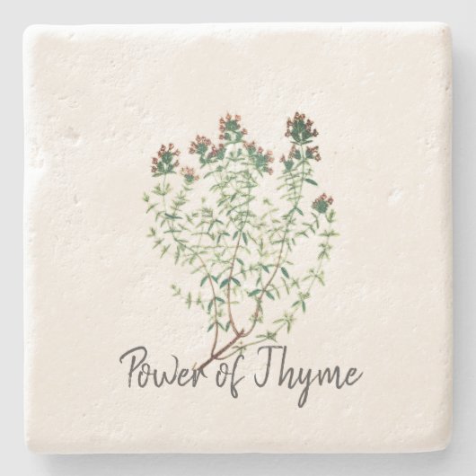 コースター (正面)