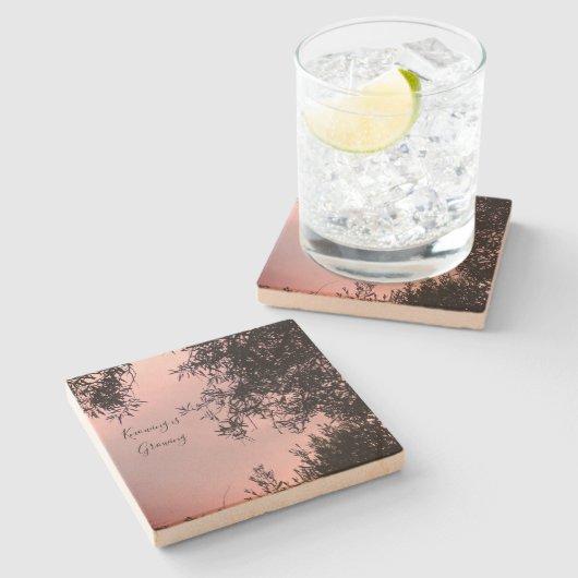 コースター (横)