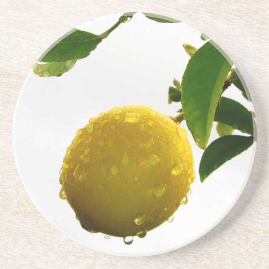 コースター – ウェットレモン (正面)