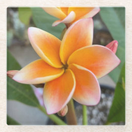 コースター、ガラス – プルメリア ガラスコースター