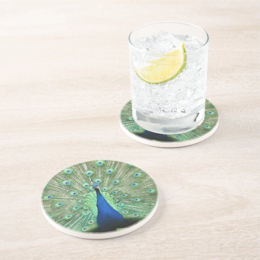 コースター – ピーコック (側面)