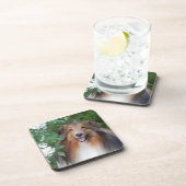 コースター – 6のセット – シェットランド・ シープドッグ (右側)