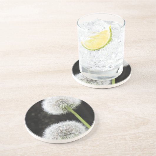 コースター – Dandelion (側面)