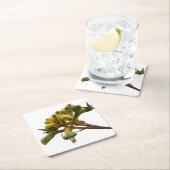 コースター – Kangaroo Paw (インサイチュ)