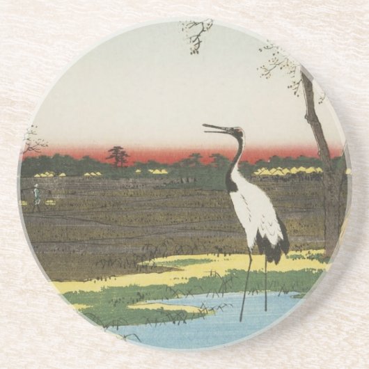 コースタ日本のー コースター (正面)