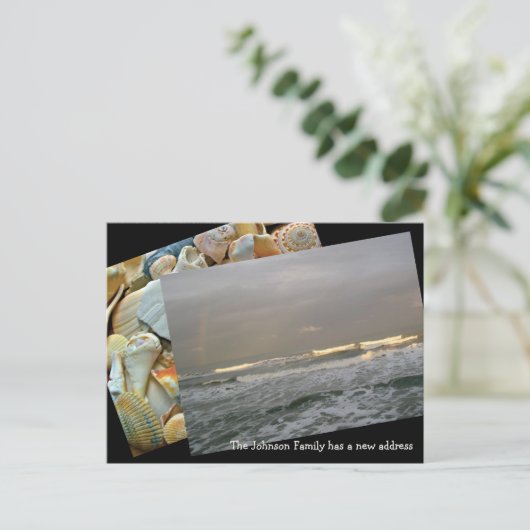 コーストの新しい住所はがきに移動 案内ポストカード (スタンド正面)