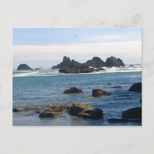 コーストアットシールロックオレゴン ポストカード (正面)