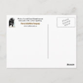 コーストガードチョッパー葉書 ポストカード (裏面)