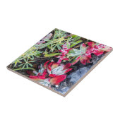 コーストデュドルヤアットポイントレイズナショナルシーショア タイル (側面)