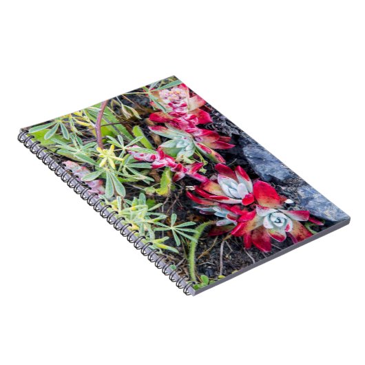 コーストデュドルヤアットポイントレイズナショナルシーショア ノートブック (右側)