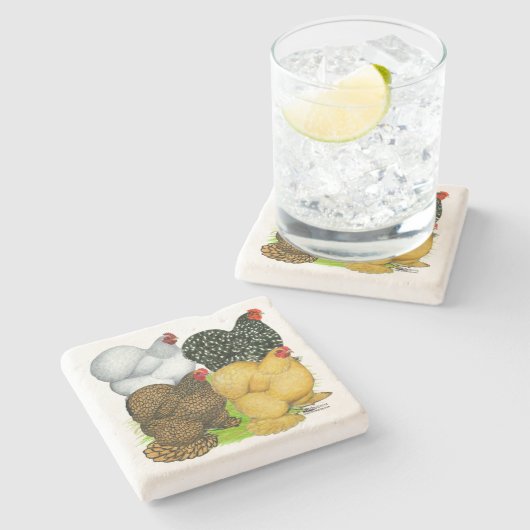 コーチンヘンズ4頭 ストーンコースター (横)