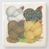 コーチンヘンズ4頭 ストーンコースター (正面)