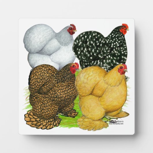 コーチンヘンズ4頭 フォトプラーク (正面)