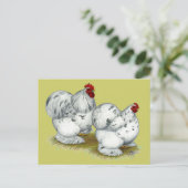 コーチン：スプラッシュバンタム ポストカード (スタンド正面)