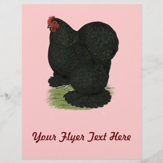 コーチン：ブラック・ヘン チラシ (正面)