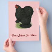 コーチン：ブラック・ヘン チラシ (手)