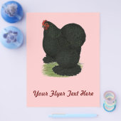 コーチン：ブラック・ヘン チラシ (シングル)