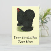 コーチン：ブラック・ヘン 招待状 (スタンド正面)