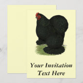 コーチン：ブラック・ヘン 招待状 (正面/裏面)