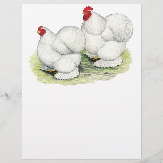 コーチン：白いバンタム チラシ (正面)