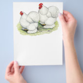 コーチン：白いバンタム チラシ (手)