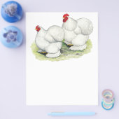 コーチン：白いバンタム チラシ (シングル)