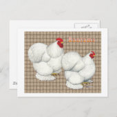 コーチン:白いバンタム ポストカード (正面/裏面)