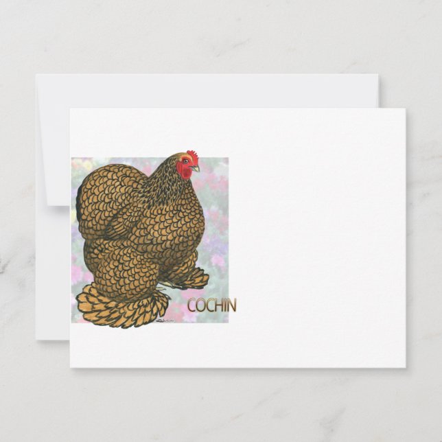 コーチン：金ゴールドを混ぜた鶏 (正面)