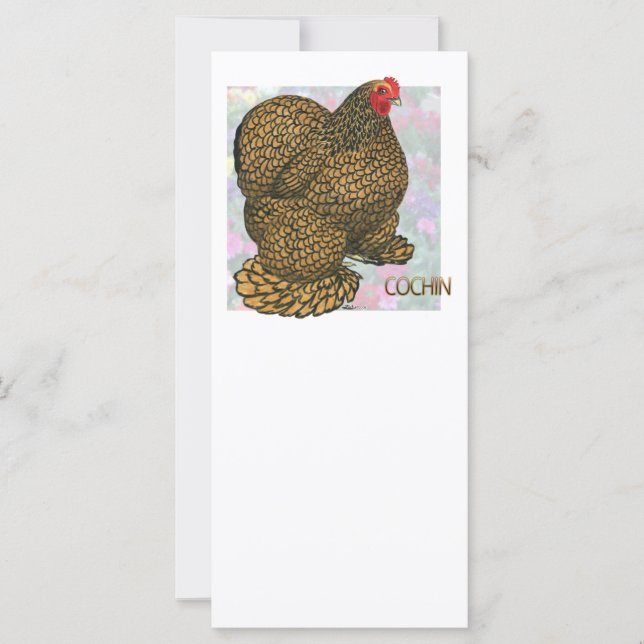 コーチン：金ゴールドを混ぜた鶏 (正面)