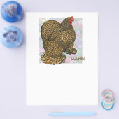 コーチン：金ゴールドを混ぜた鶏 チラシ (シングル)