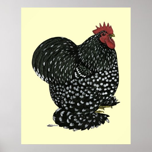 コーチン：黒い毛根 ポスター (正面)